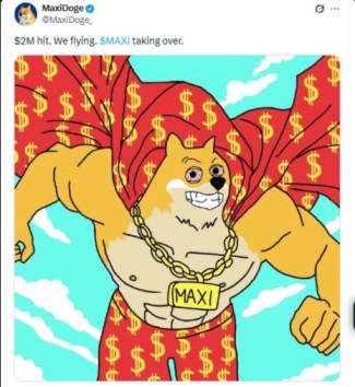 official tweet on x maxi doge