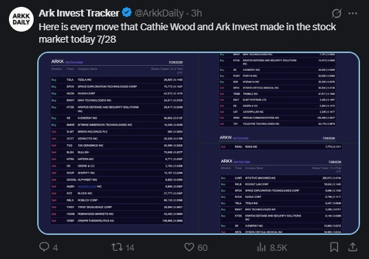 Cathie Wood ARK Invest kept buying into the drop