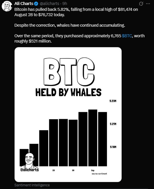 Does Bitcoin Rally Match Investor Sentiment?
