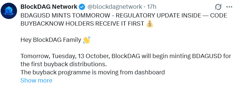 BlockDAG News: Latest BDAGUSD Buyback Update
