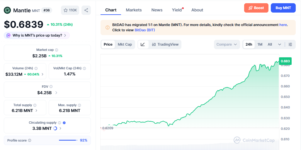 MNT/USD price chart today