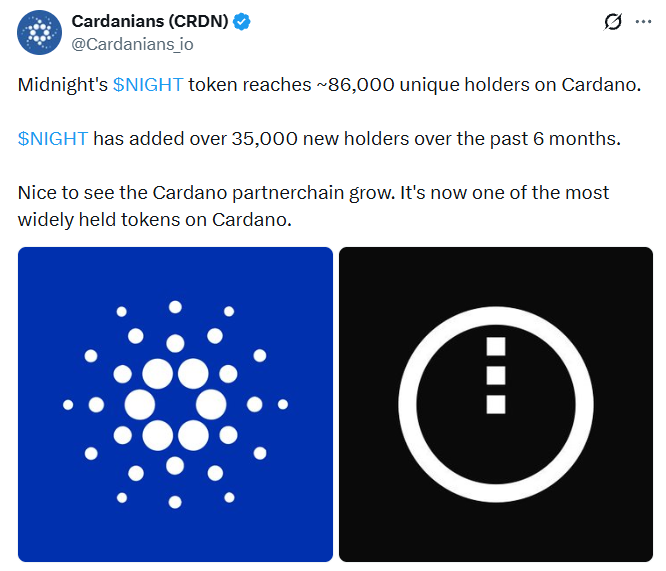 Midnight token holders