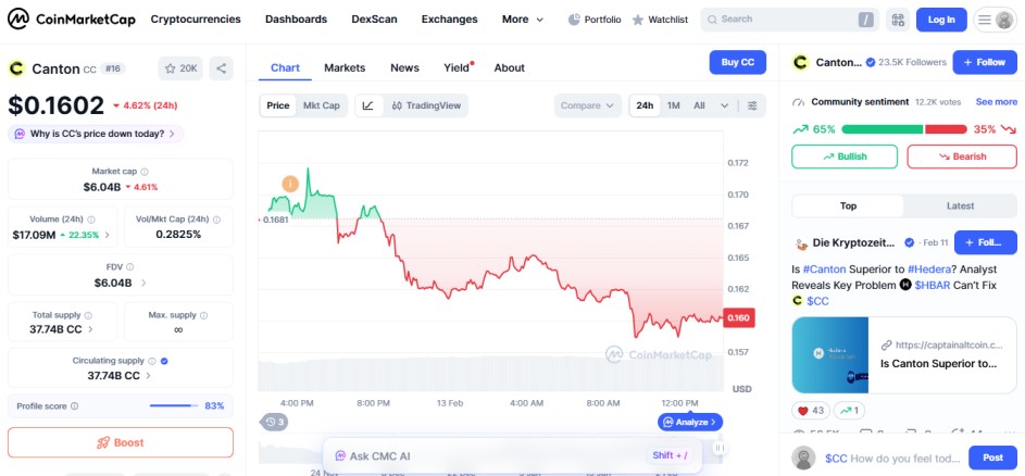 top crypto losers today, coin market cap, february, 13 2026, Canton CC