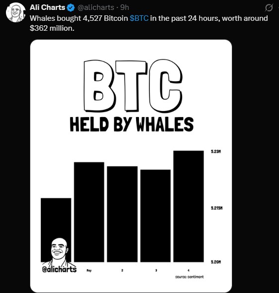 BTC Held By Whales