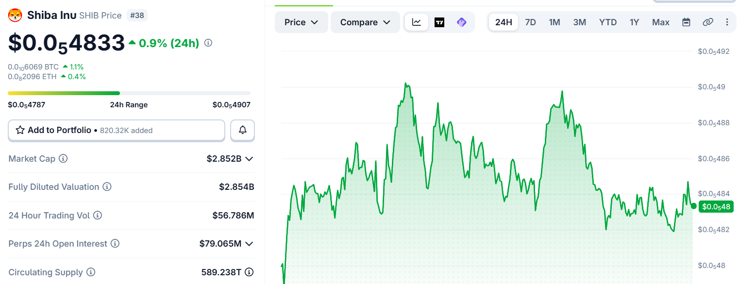 Shiba Inu price today