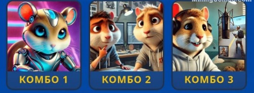 Hamster Kombat Daily Combo