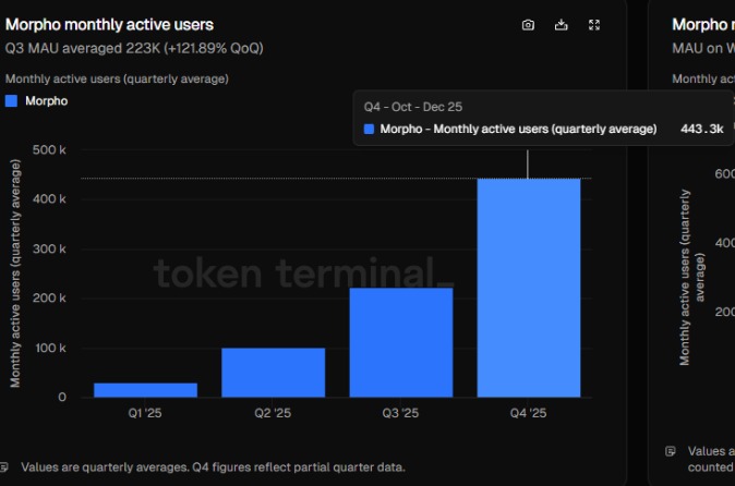 Morpho monthly active users Morpho monthly active users