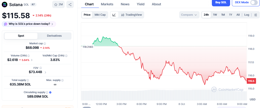 Solana Price Chart Showing Details Solana Price Chart Showing Details