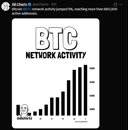 BTC Network activity