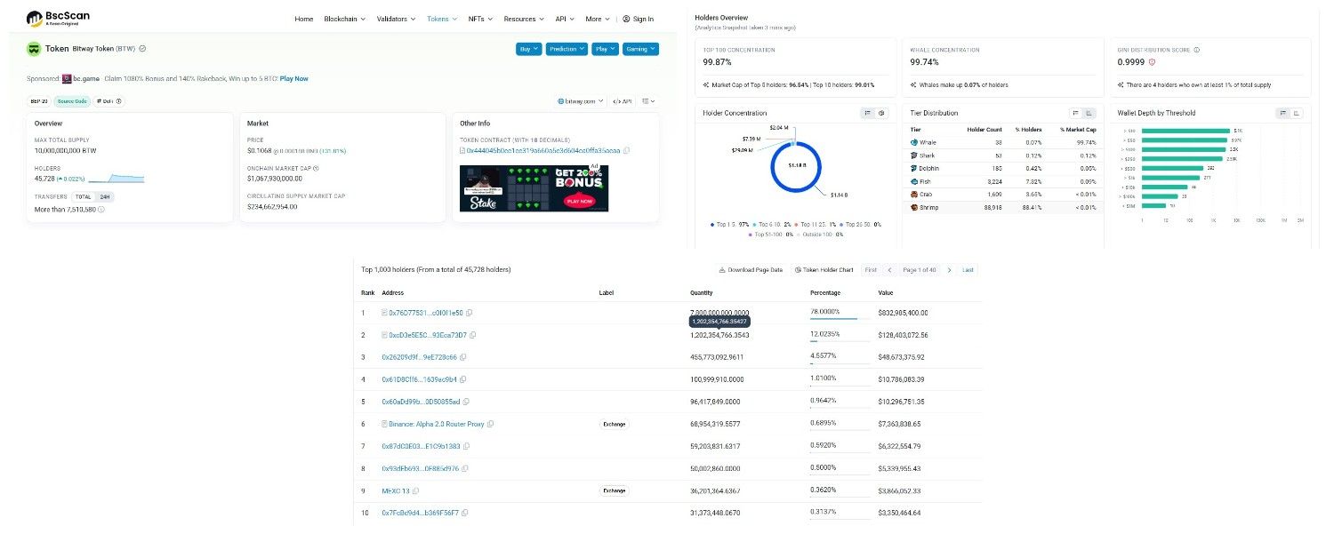 Tokenomics And Whale Concentration