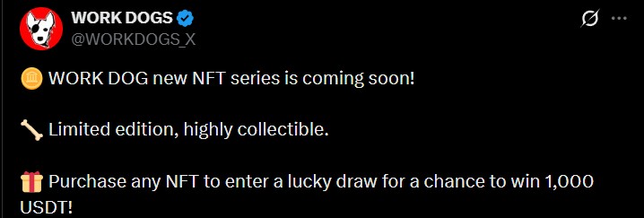 Work Dogs NFT Update Work Dogs NFT Update