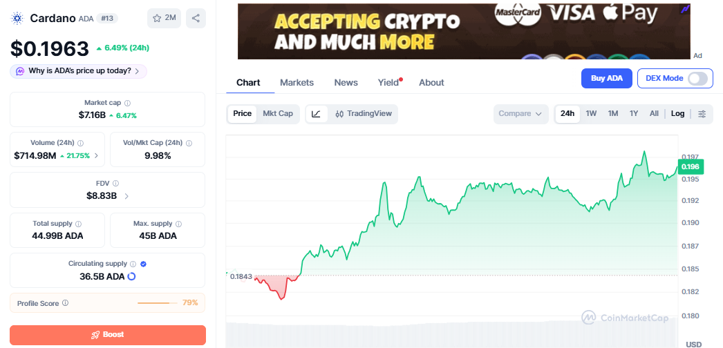 ADA/USD price chart CoinMarketCap ADA/USD price chart CoinMarketCap