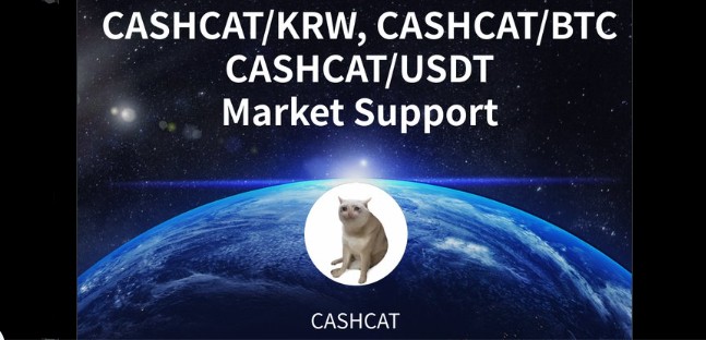Upbit CashCat Listing Upbit CashCat Listing