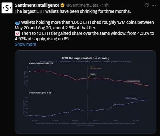 Santiment data shows wallets holding more than 1,000 ETH