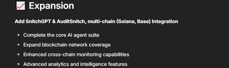 DeepSnitch AI Official roadmap