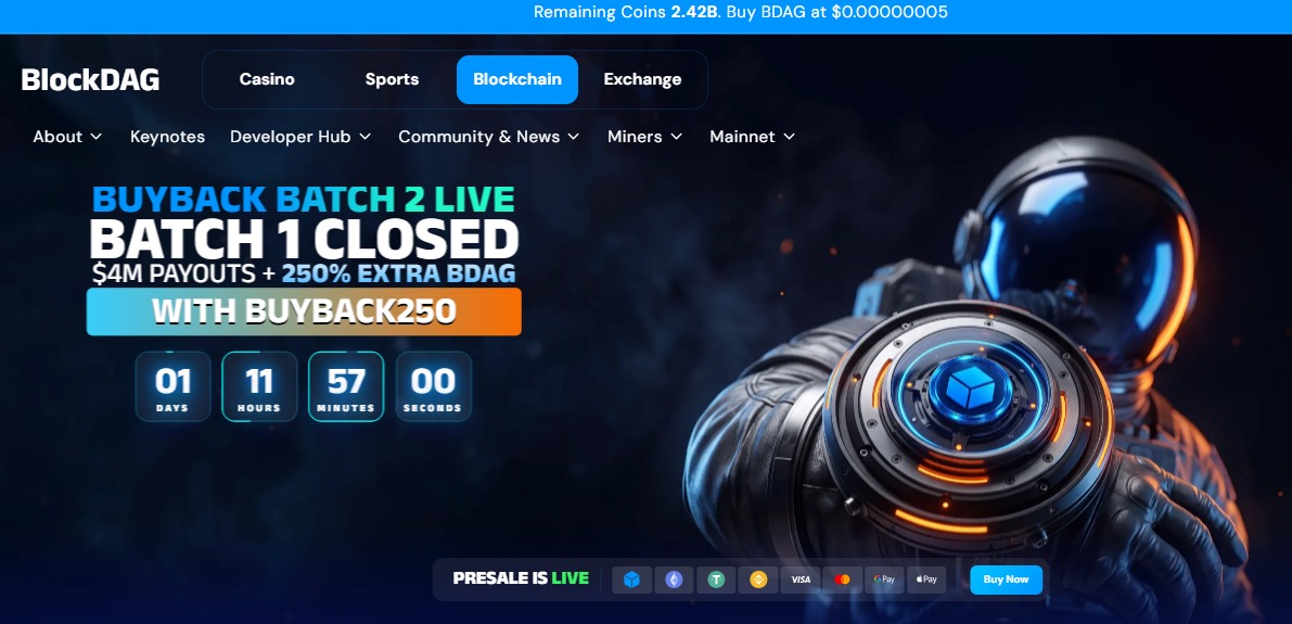 BlockDAG official website shows this BlockDAG official website shows this