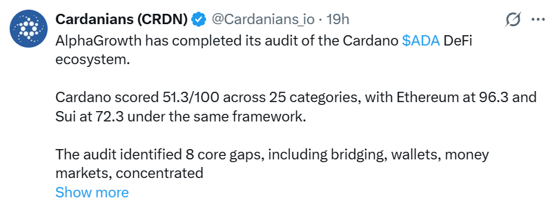 cardano Alphagrowth update cardano Alphagrowth update