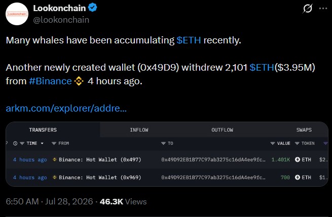 Ethereum Whales Continue Accumulating ETH