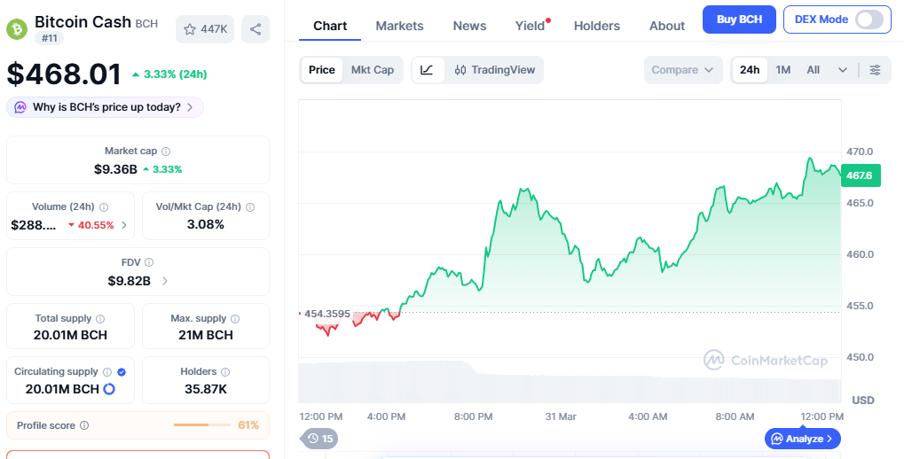 Bitcoin Cash (BCH) price chart showing steady price rise today Bitcoin Cash (BCH) price chart showing steady price rise today
