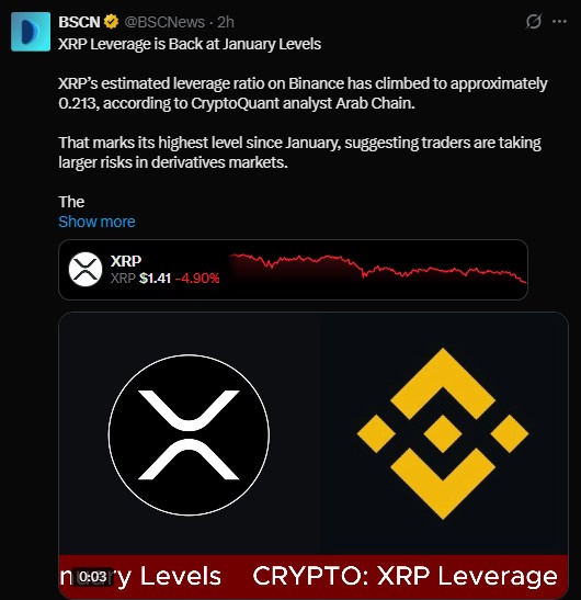 Rising XRP Leverage a Warning Sign
