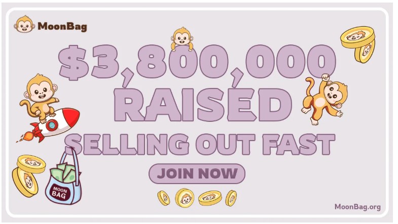MoonBag fund raised