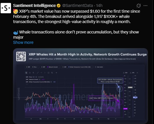 Why Is XRP Price Going Up Today Why Is XRP Price Going Up Today