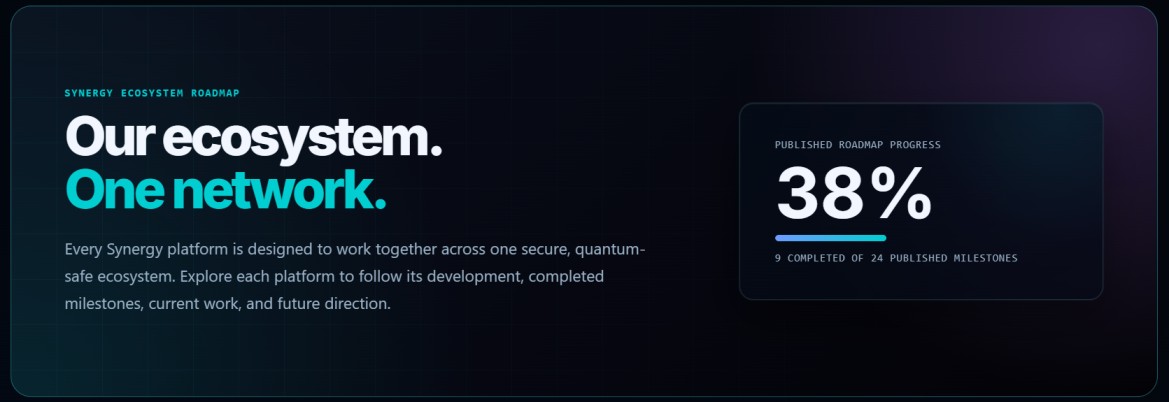 Networking Check List Synergy Network Roadmap: Milestones, Progress and Plans
