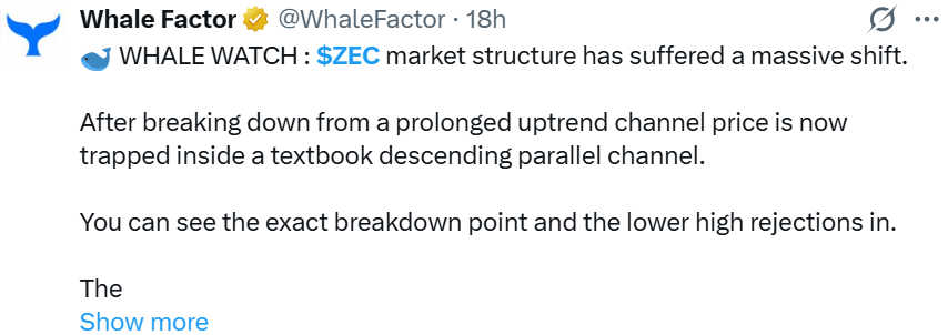 Zcash News Today: Bear Warning Targets $597