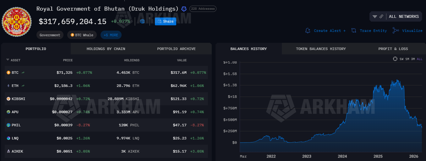 Bhutan Bitoin Holdings Bhutan Bitoin Holdings