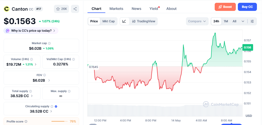 CC/USD price chart today
