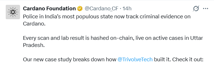 Cardano news today: Crime track Cardano news today: Crime track