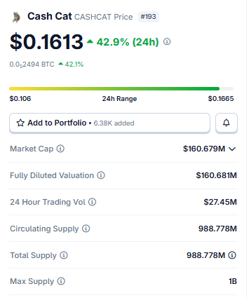 Live CASHCAT Price Data Live CASHCAT Price Data