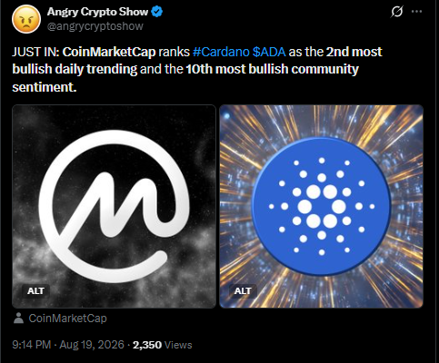 Cardano laatest news