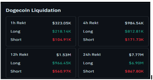dogecoin  Liquidation Picture 