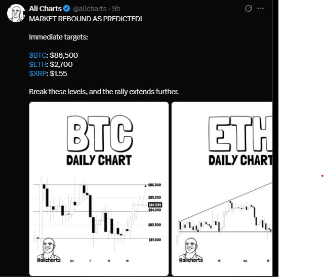 Market Rebound As Predicted
