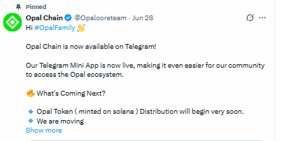 Opal Chain Mini App