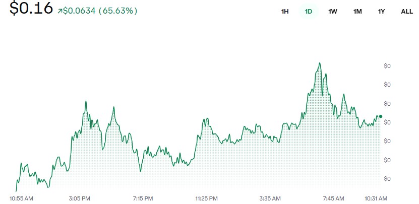 Based BASED1 Token Price Today