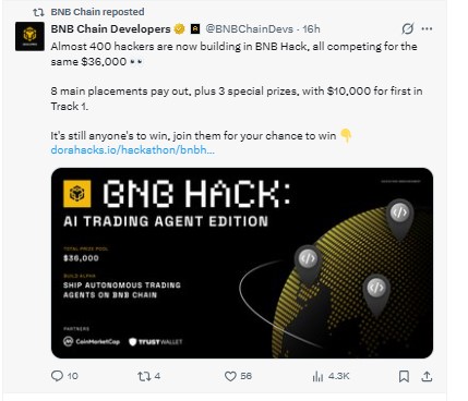 bnb on x official