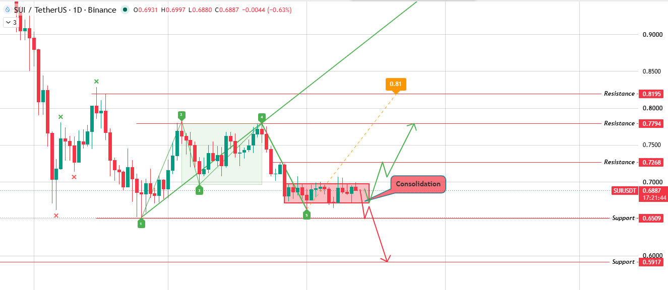 Daily Chart Analysis for Sui Price Prediction