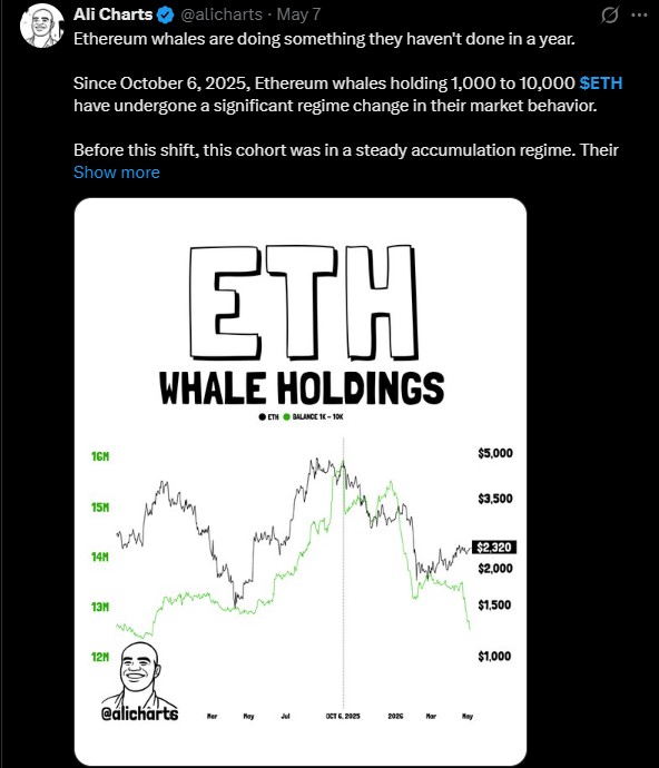Ethereum Whale Holdings