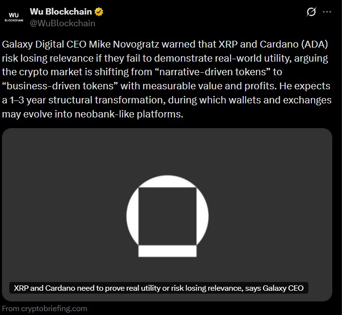 Galaxy Digital CEO Mike Novogratz cautioned that XRP and Cardano 
