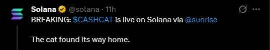 Cashcat live on Solana