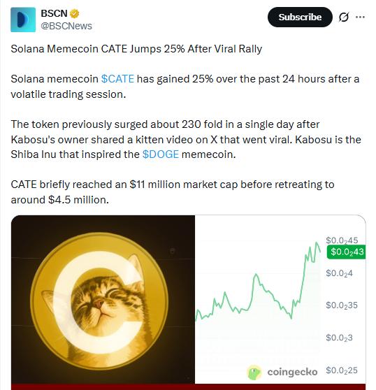 Memecoin news DOGE SHIB CATE price 