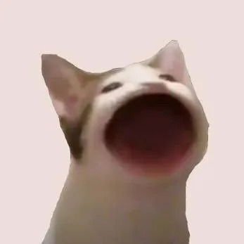 POPCAT MemeCoin POPCAT MemeCoin