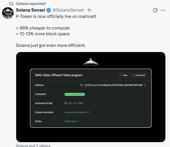 P-Token launch 2026 P-Token launch 2026