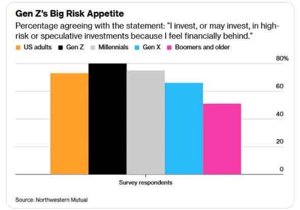 High Risk Investement Ratio
