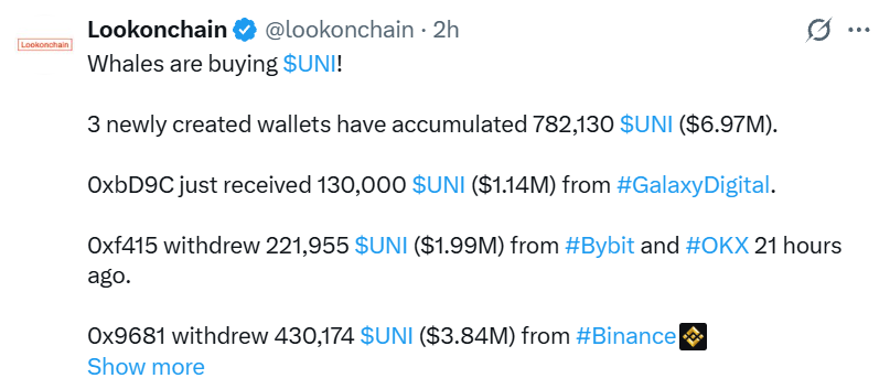 Whale Buying Crypto Whale Buying Crypto