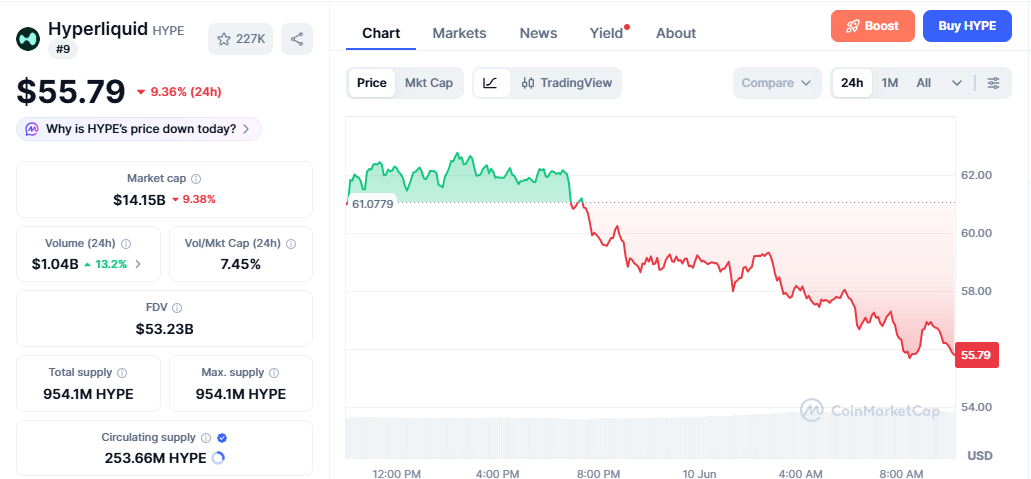 HYPE/USD price chart today HYPE/USD price chart today