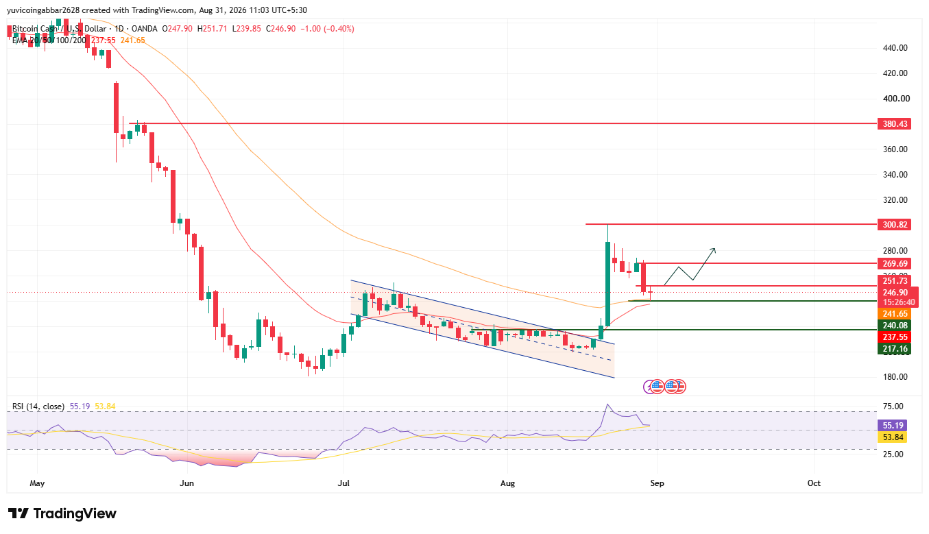 BCH Price Prediction Chart: Technical Analysis