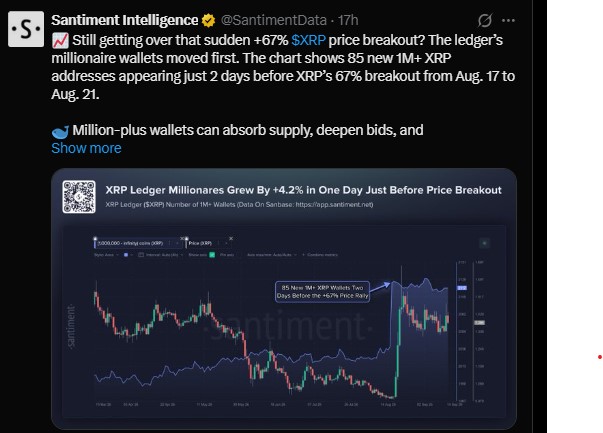 XRP Whale Activity and Ripple News XRP Whale Activity and Ripple News
